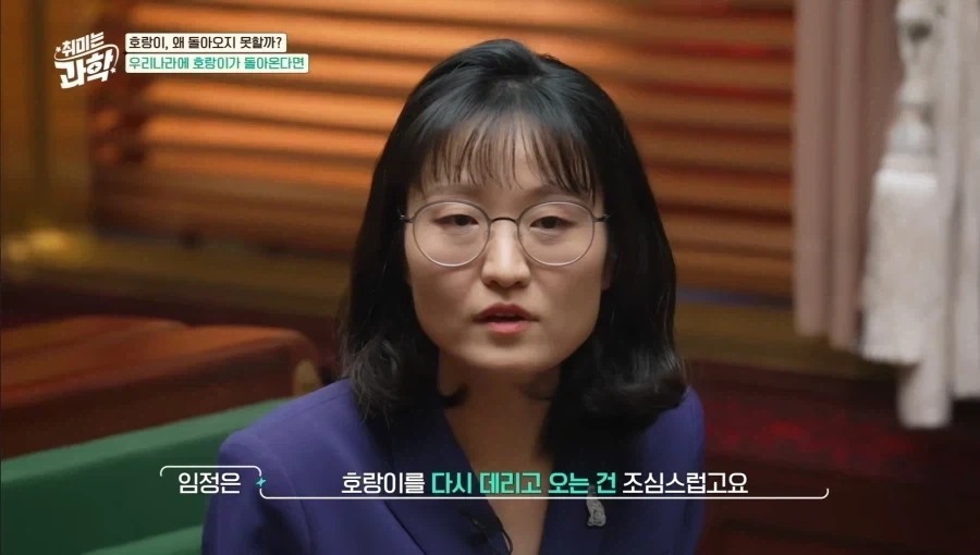 한국에 호랑이가 다시 돌아왔으면 좋겠다.jpg - 이미지 8