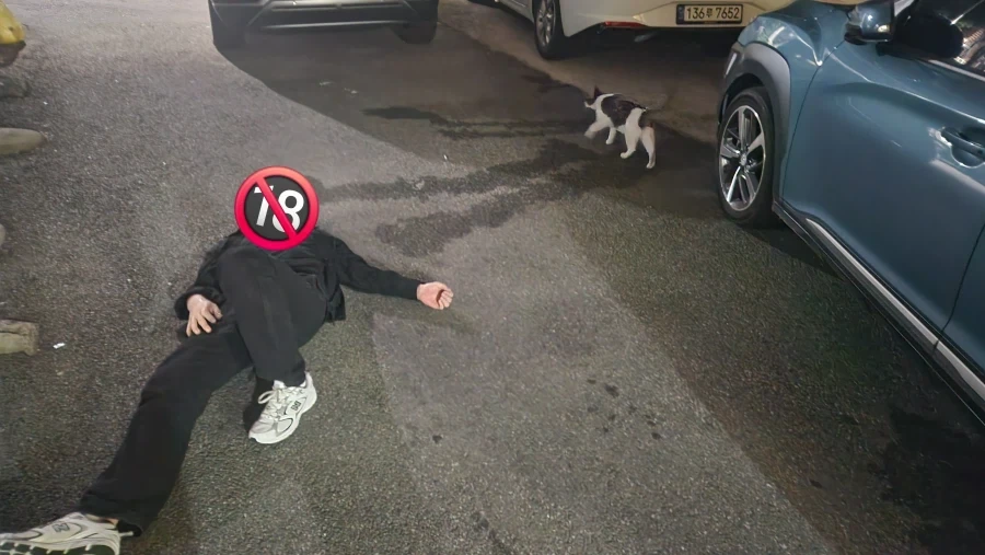 술 먹다 길고양이 만남 - 이미지 5