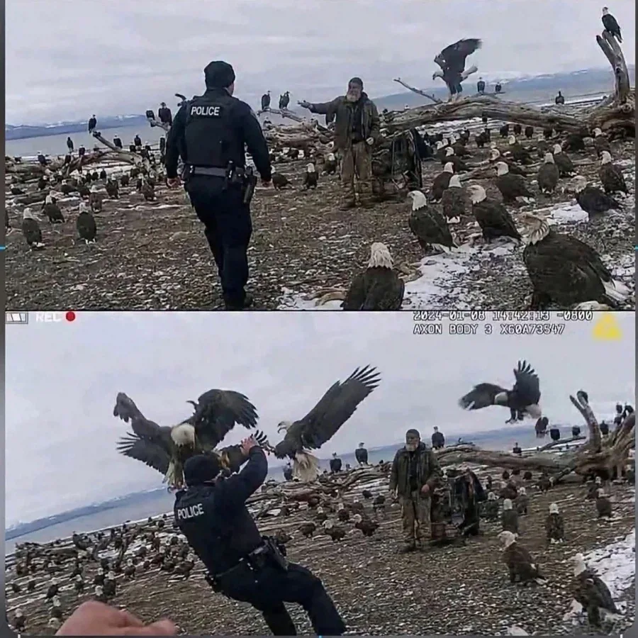 "이제 끝이야! 네놈을 체포하겠다 늙은이!"
