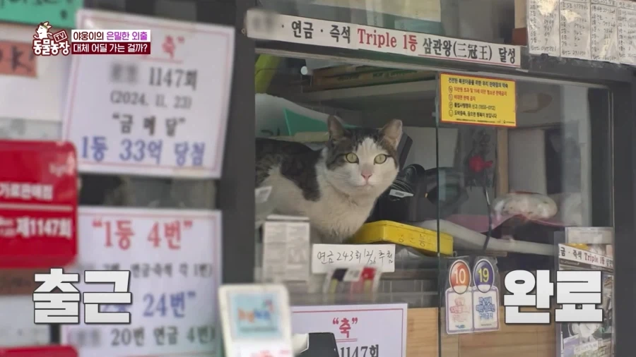 "복권 주세요"