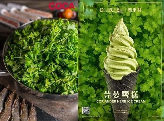 다양한 아이스크림의 세계.jpg - 이미지 5