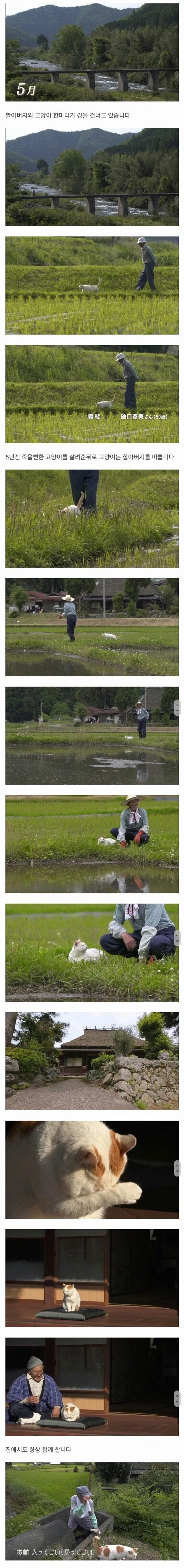 할아버지와 고양이