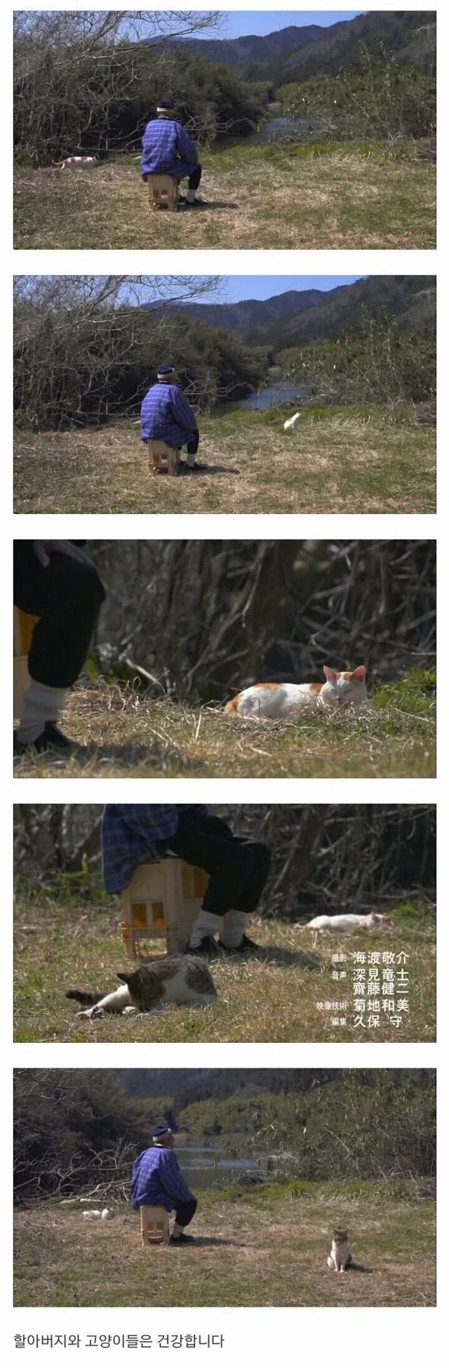 할아버지와 고양이 - 이미지 6