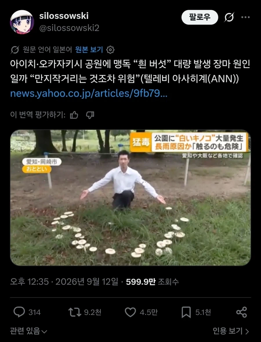 일본 공원에 맹독버섯이 대량으로 발생했다는 기사.twit