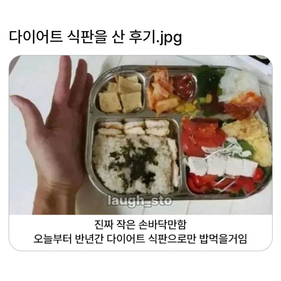 다이어트 식판을 산 후기