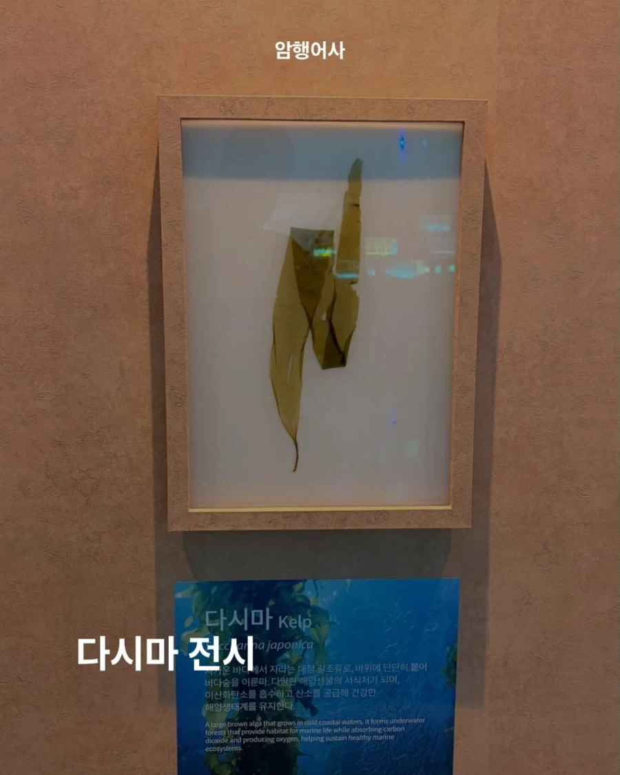 여수 섬박람회가 레전드인 이유.jpg - 이미지 3