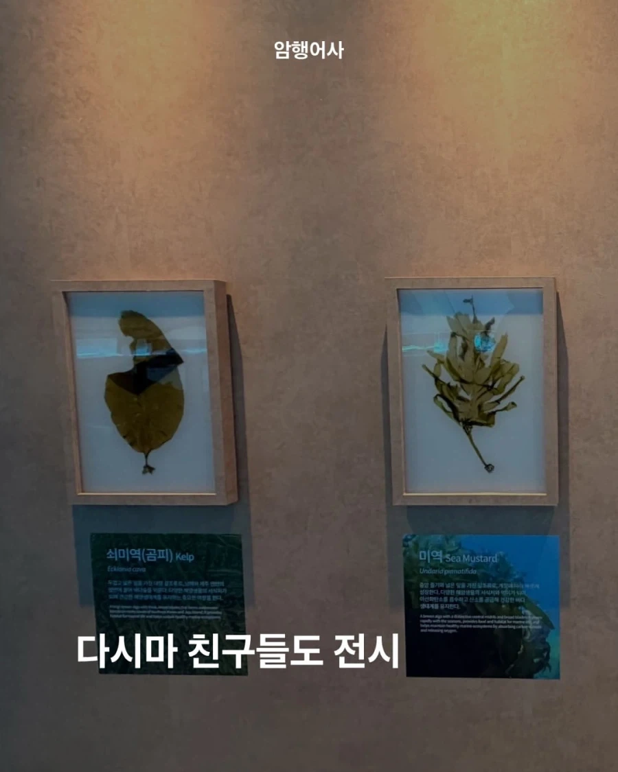 여수 섬박람회가 레전드인 이유.jpg - 이미지 4