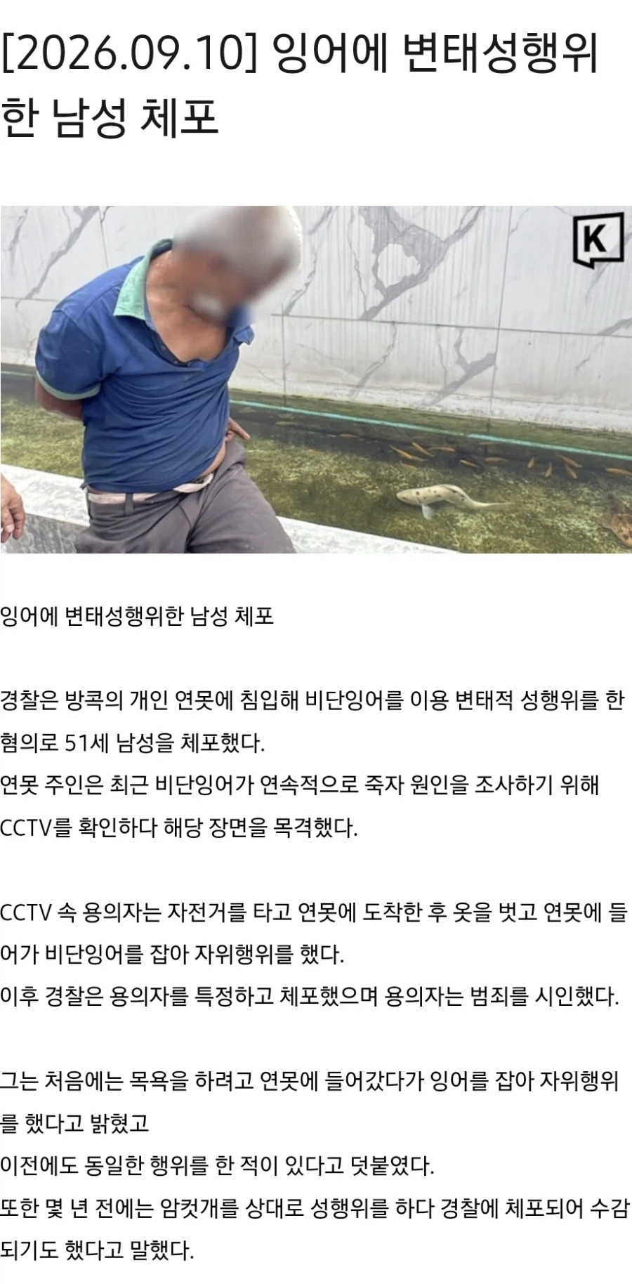 연못잉어가 계속 죽은 이유