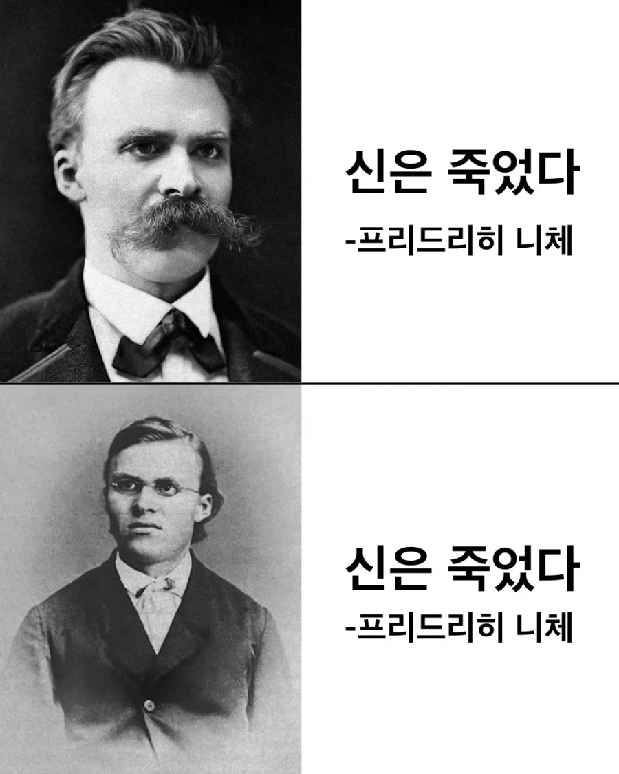 니체다움 vs 니붕쿤