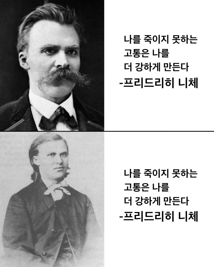 니체다움 vs 니붕쿤 - 이미지 2