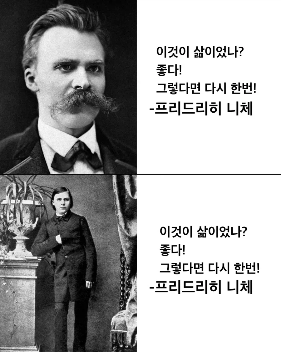 니체다움 vs 니붕쿤 - 이미지 3