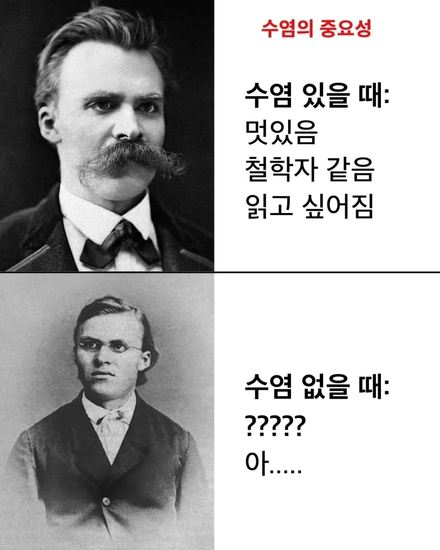 니체다움 vs 니붕쿤 - 이미지 4