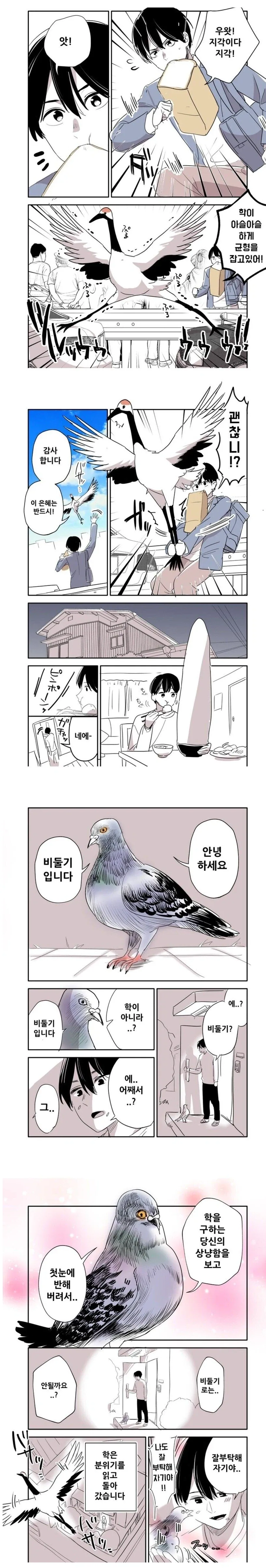 은혜 갚으려는 학의 이야기