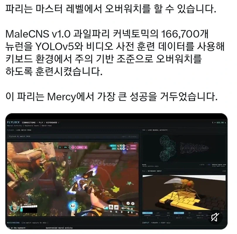 오버워치 메르시 특