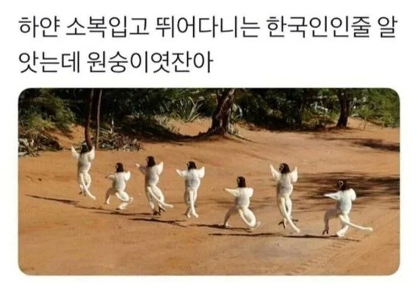 백의민족 한국인