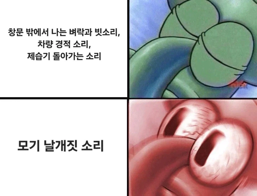 날씨가 참 묘해서 결국 창궐한 녀석