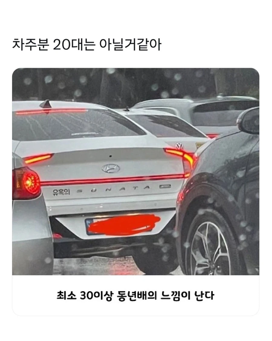 유혹의 쏘나타...