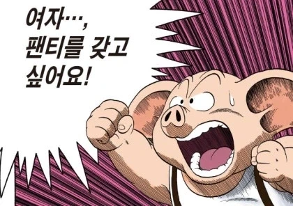 드래곤볼) 소원 사용법가지고 욕하는건 안분이 맞는게