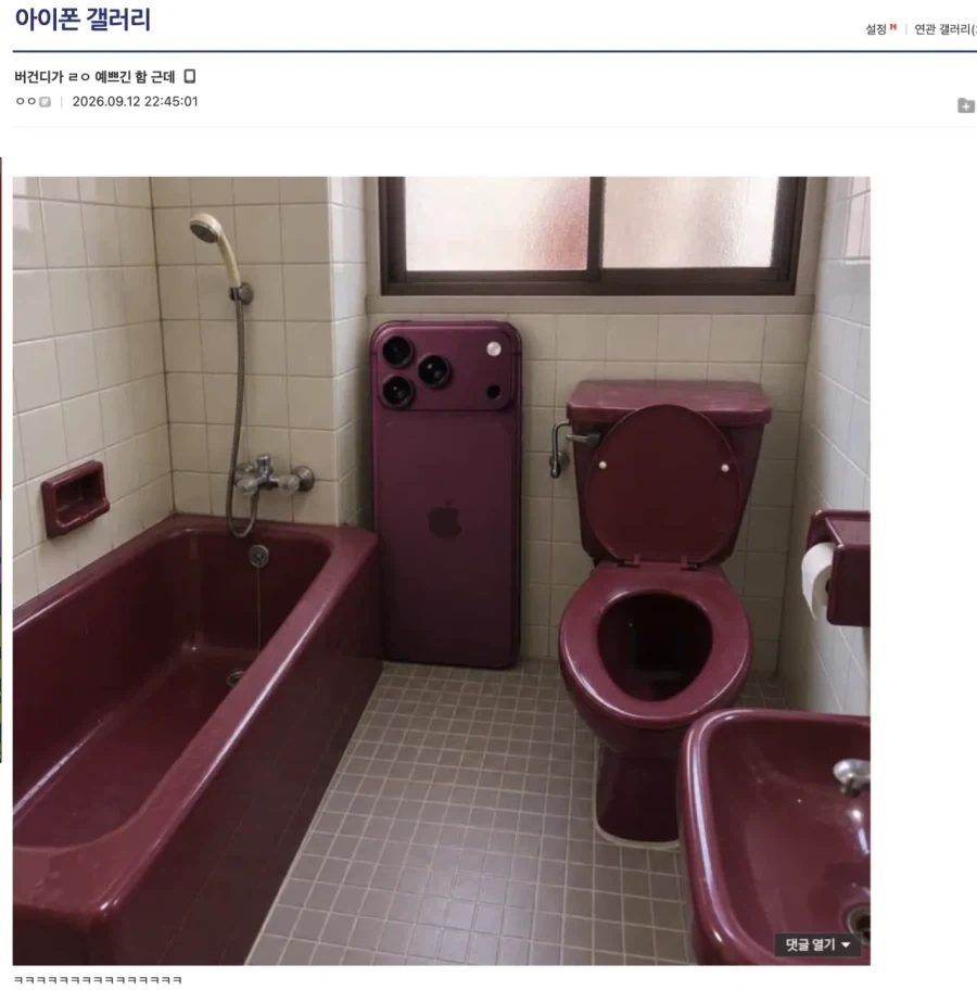호불호 갈리는 아이폰 버건디 색상