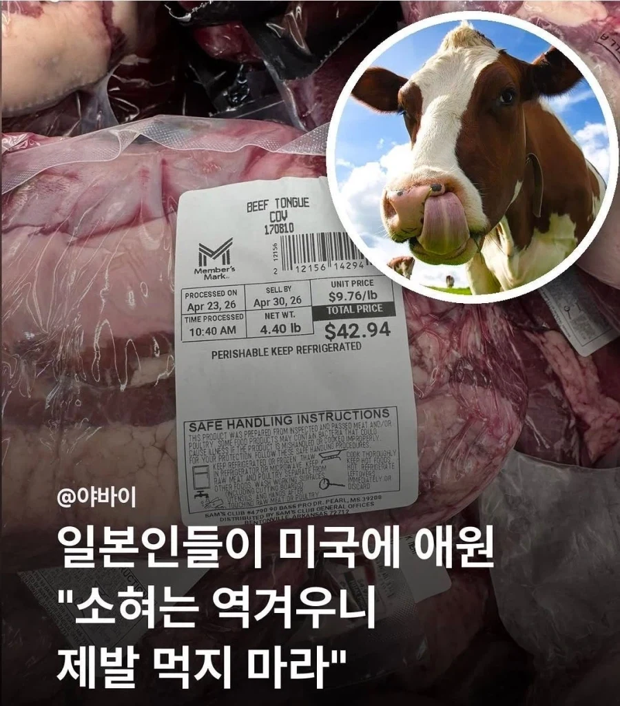 어떻게든 국가기밀 유출을 막으려는 일본