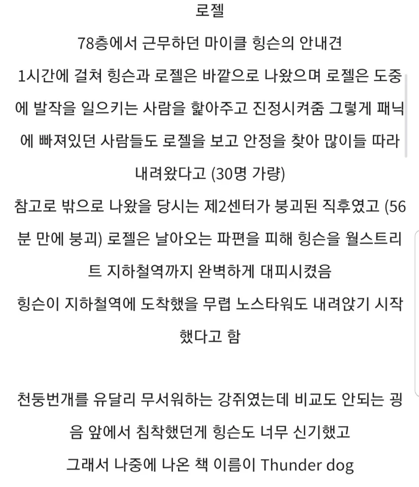 911 테러 당시 건물 안에 있었던 두마리의 시각 장애인 안내견.jpg - 이미지 6