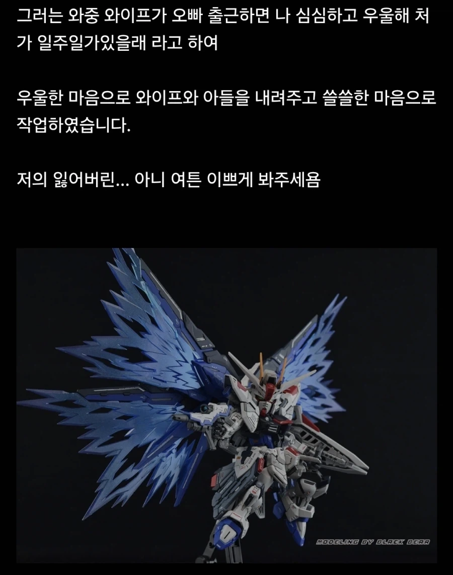 와이프를 처가에 보내고 쓸쓸해서 만든것 - 이미지 2