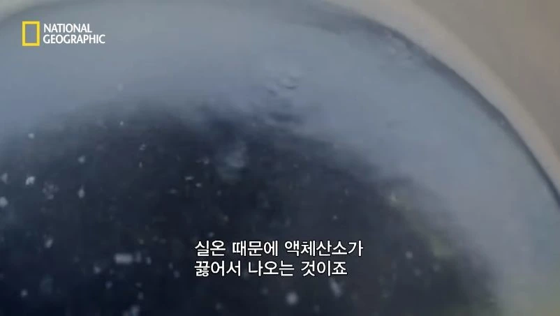 다이아몬드 짝퉁 구별법.jpg - 이미지 35