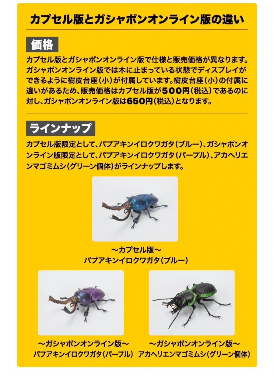 [반다이가샤폰] 생물대도감 쿠와가타(사슴벌레) 13 - 이미지 4