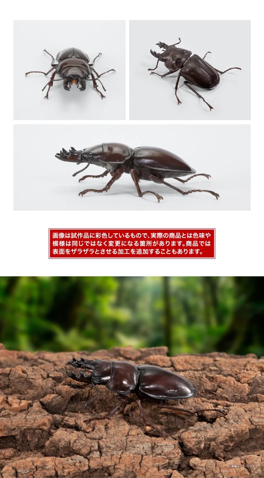 [반다이가샤폰] 생물대도감 쿠와가타(사슴벌레) 13 - 이미지 10