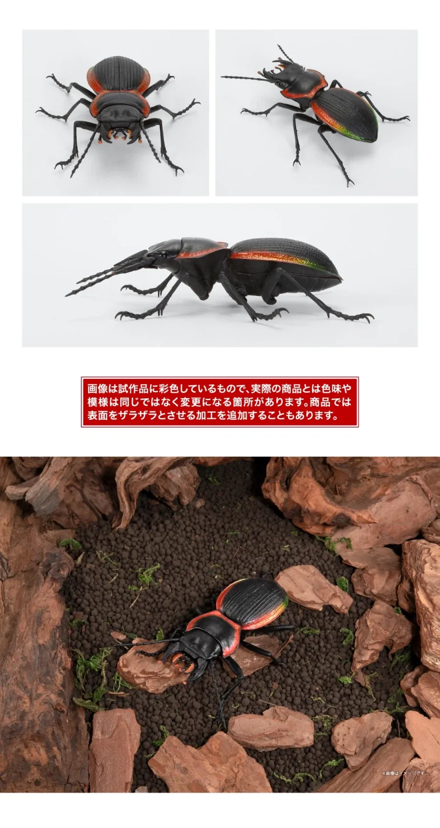 [반다이가샤폰] 생물대도감 쿠와가타(사슴벌레) 13 - 이미지 16