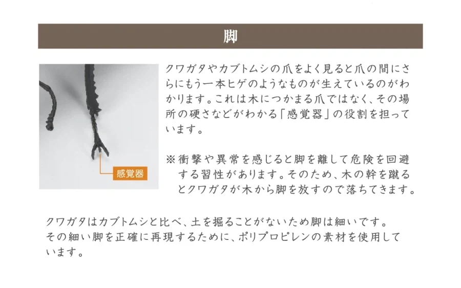 [반다이가샤폰] 생물대도감 쿠와가타(사슴벌레) 13 - 이미지 20