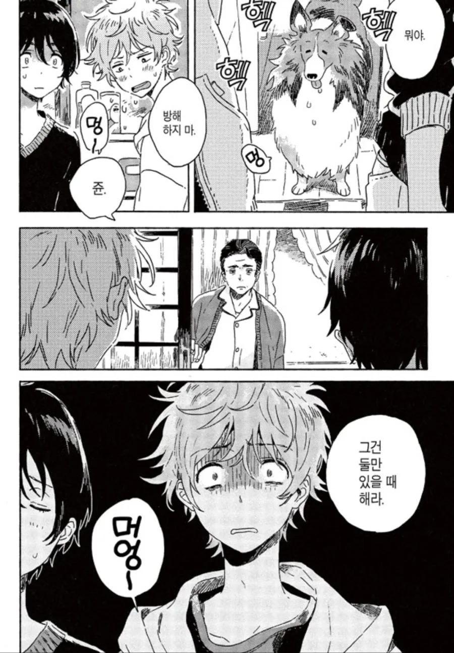 ㅎㅁ) 커플과 3자대면 하는 만화.manhwa - 이미지 3