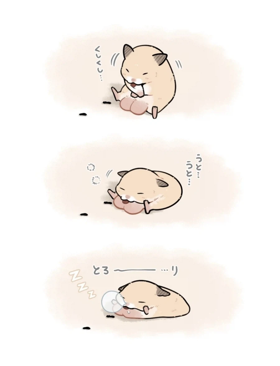 햄스터 만화