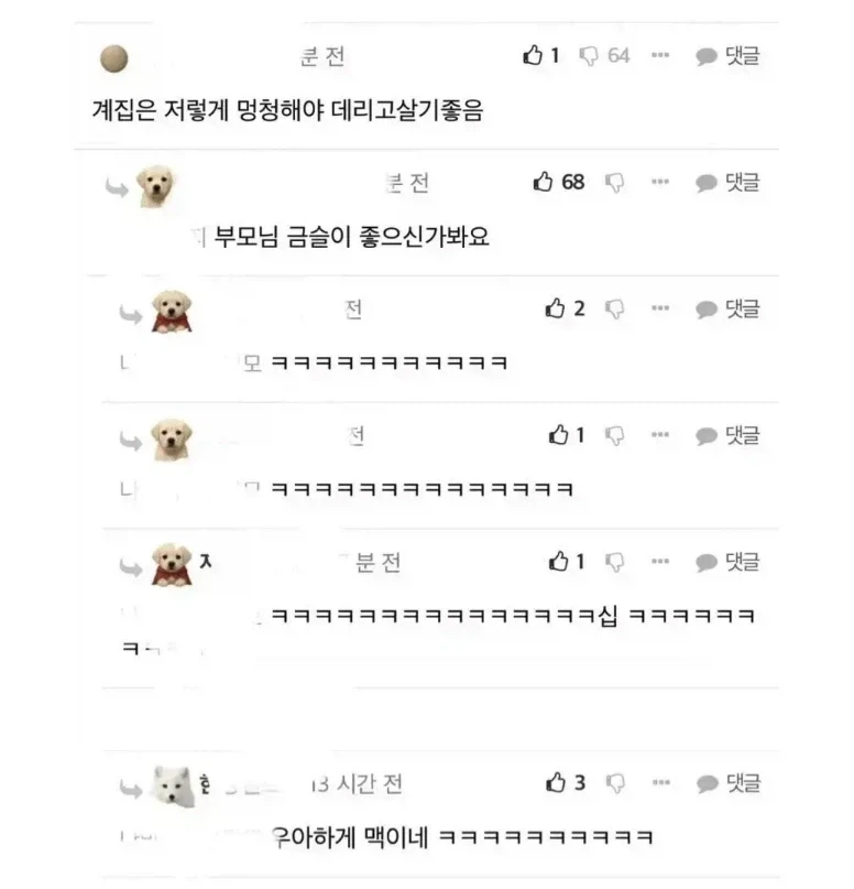 우아한 태극권의 고수