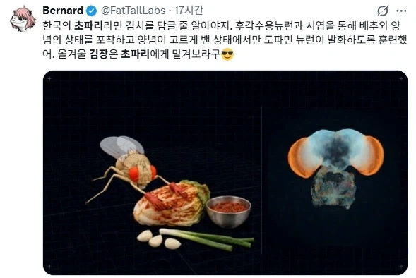 빌게이츠 : 미래엔 컴퓨터로 멋진 일을 할거에요