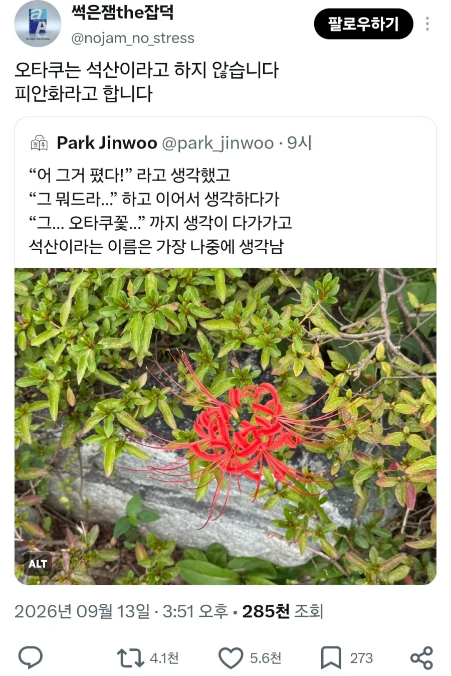 와! 그 꽃 피었다! 근데 그 꽃 이름이 뭐였지...?