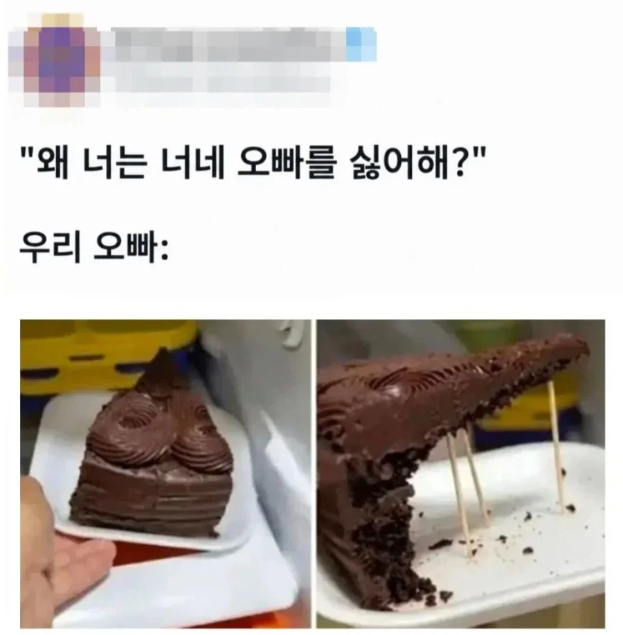 오빠가 너무 싫다는 여동생 - 이미지 2