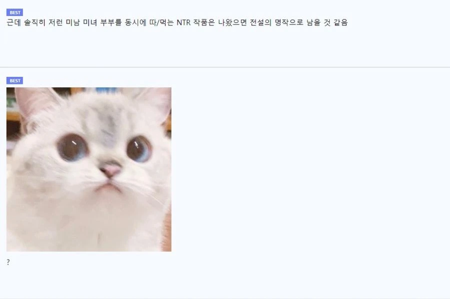 NTR 못 보는 사람들도 은근 가능한 장르 - 이미지 9
