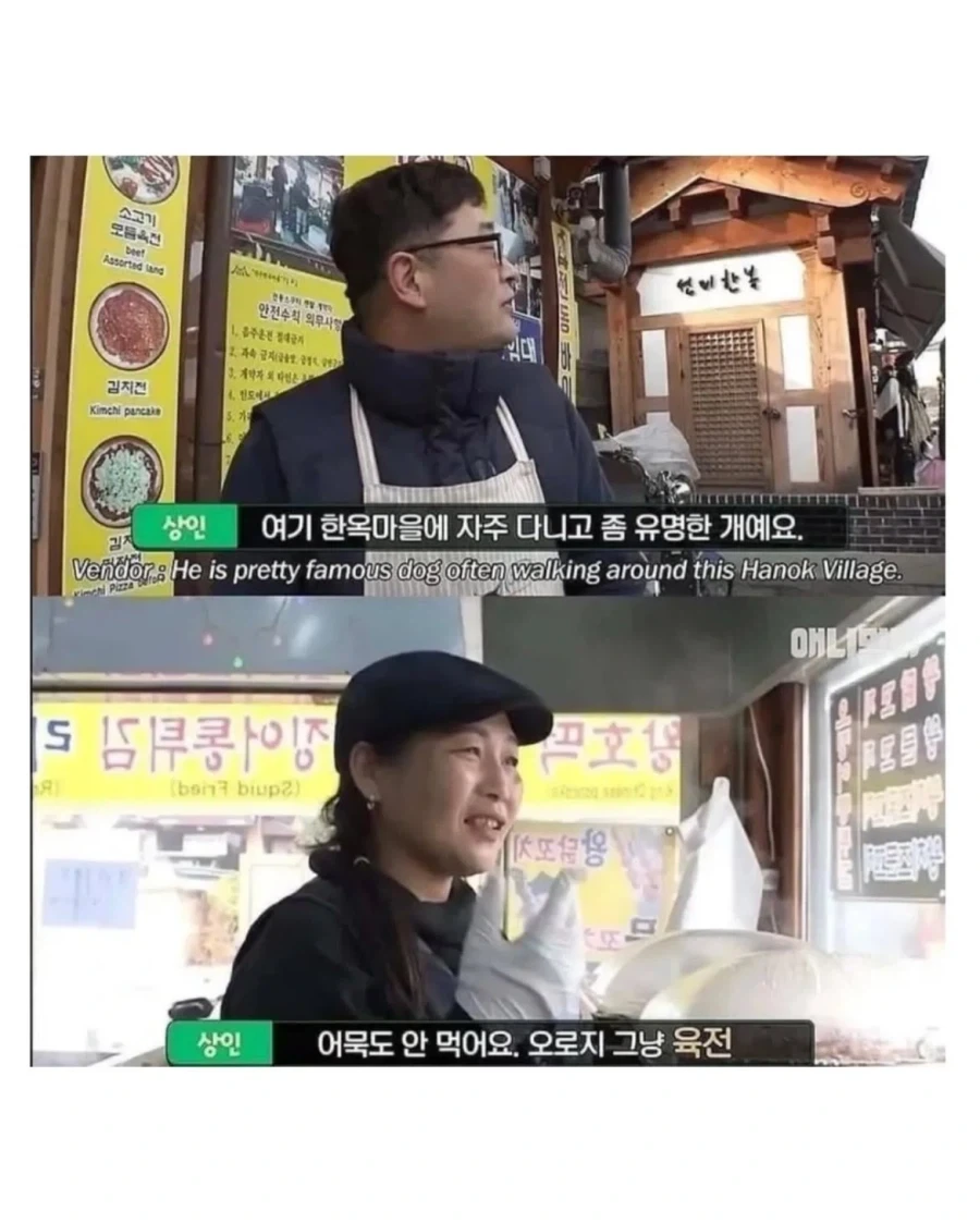 절에사는 식탐 없는 멍뭉이 - 이미지 7