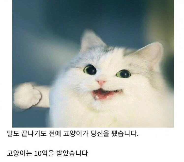 10억 받기 vs 짜장면을 - 이미지 2