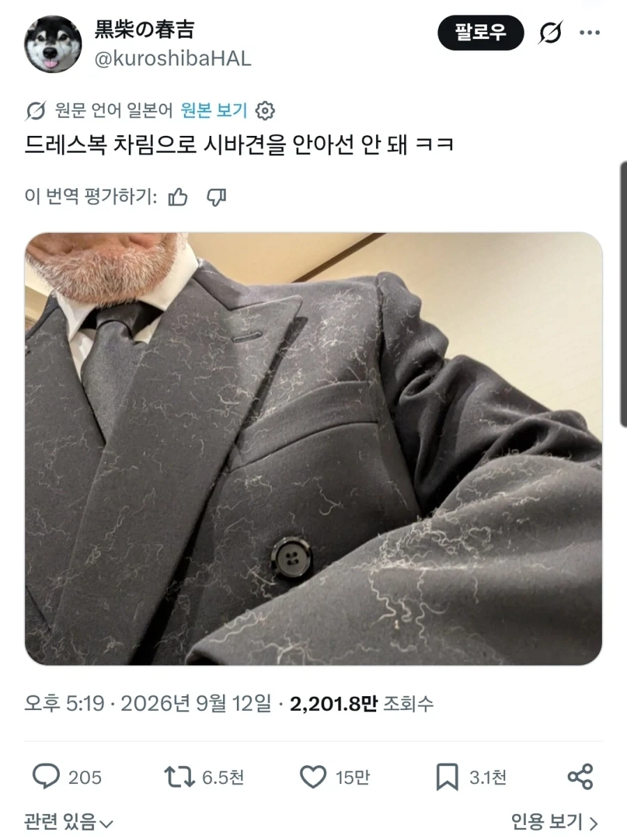 "양복을 입고 시바견을 안아서는 안 돼 ㅋㅋ"