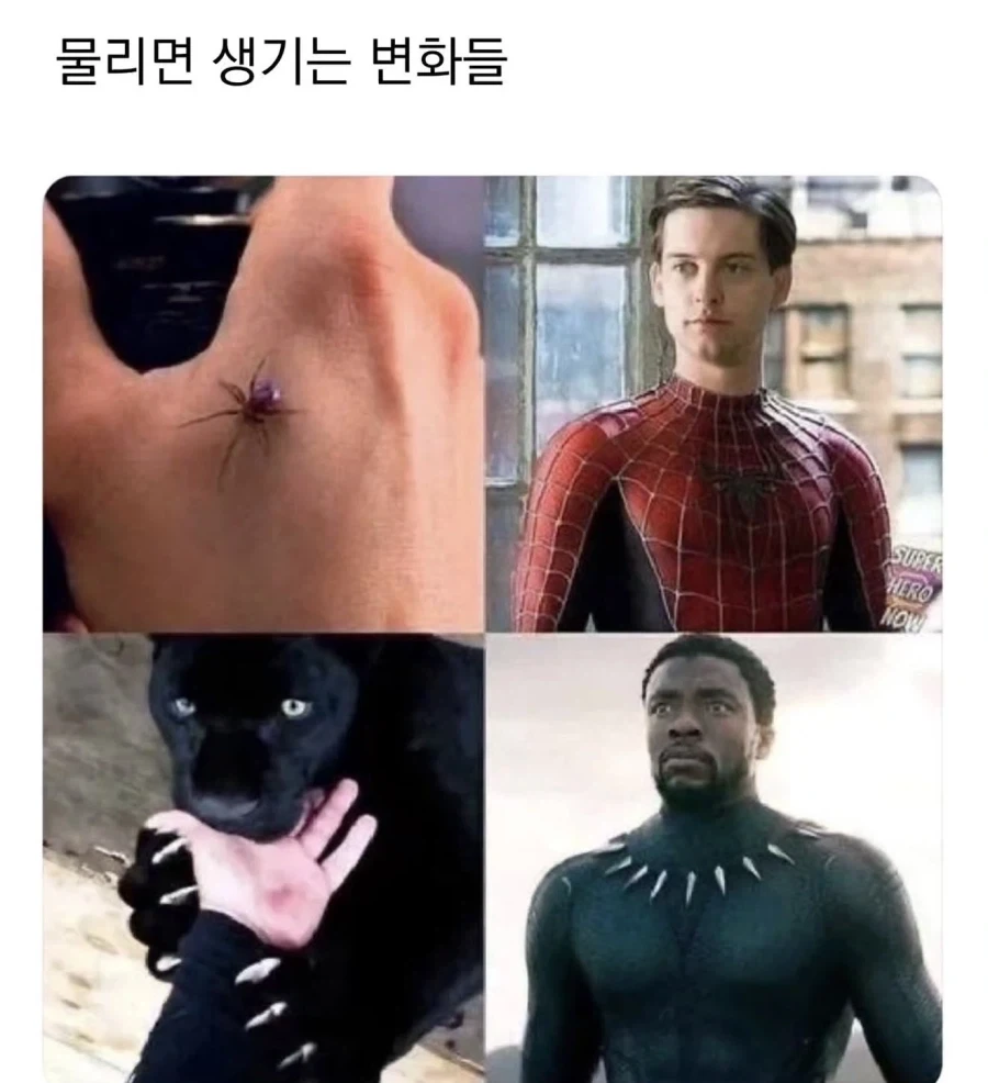 XX에게 물리면 생기는 변화들