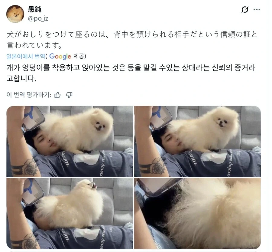 의미는 알겠는데 많이 부담스러운 행동
