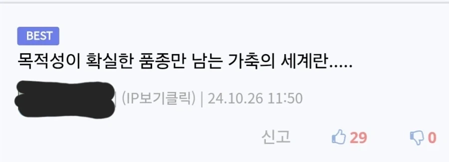 목적성이 확실한 포켓몬 - 이미지 3