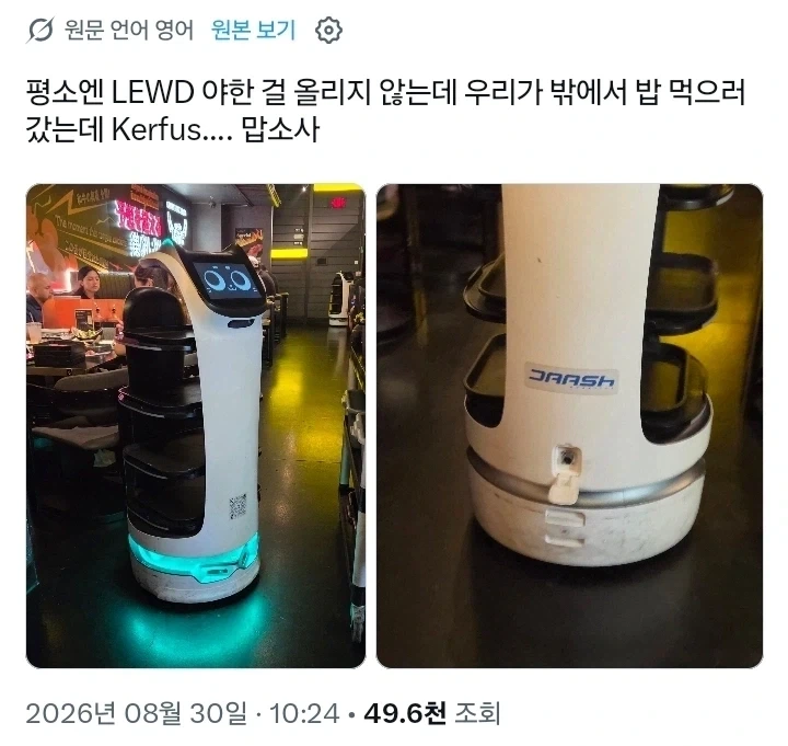 음란한 로봇 고양이 메이드