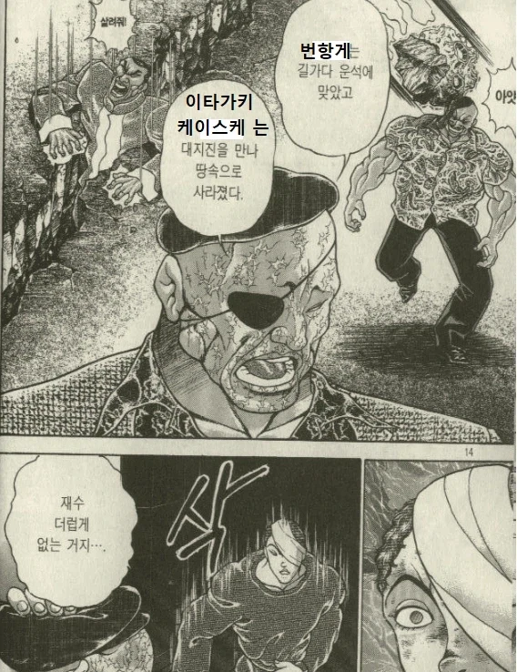 아무리 밈이라지만 바키 팬들이 부정조차 안하는것