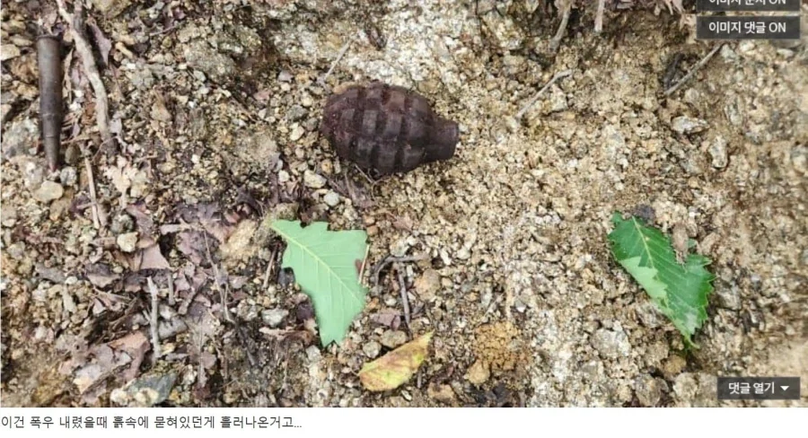 감자 캐듯 수류탄 찾는 디시인.jpg - 이미지 9