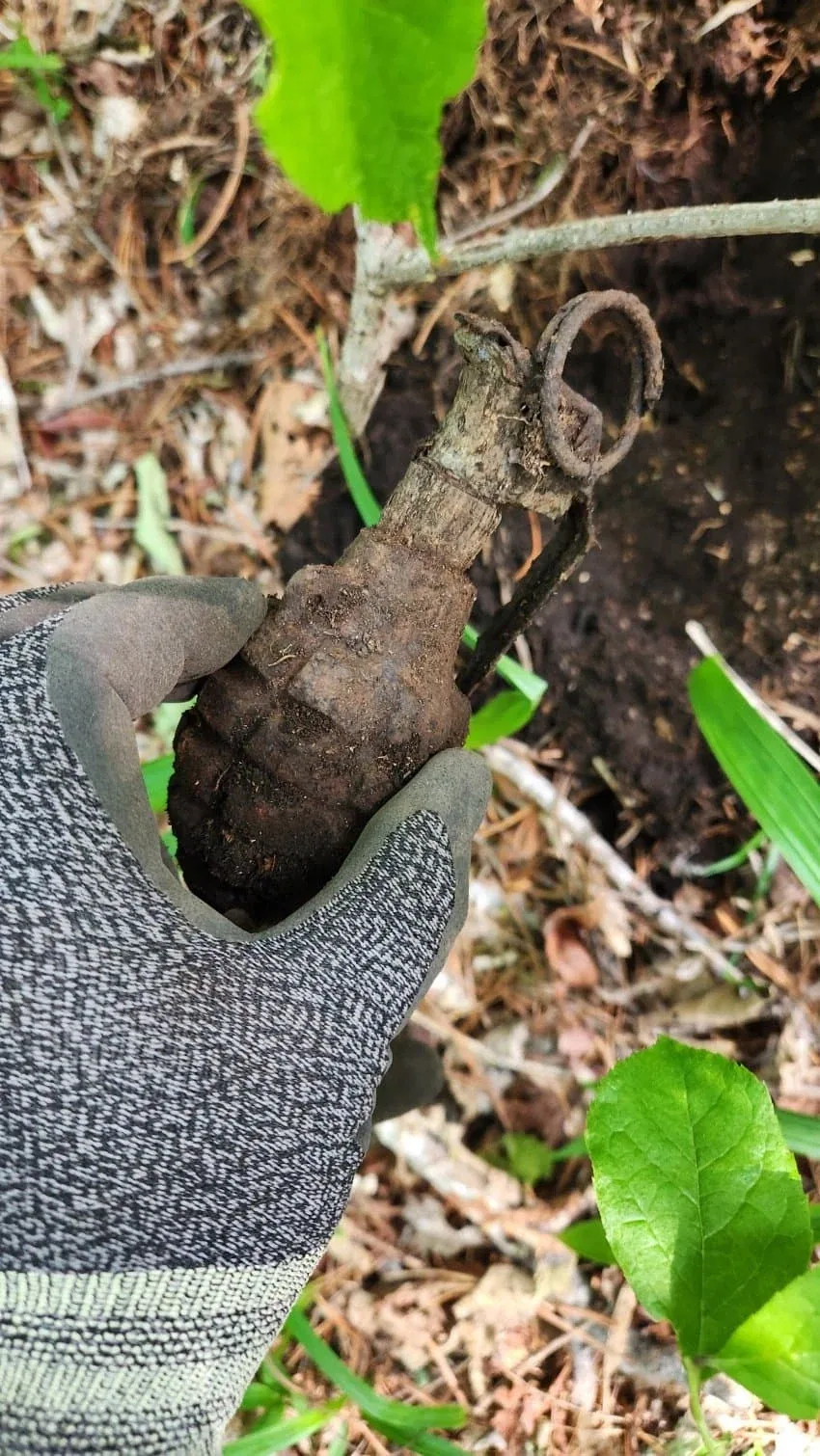 감자 캐듯 수류탄 찾는 디시인.jpg - 이미지 16
