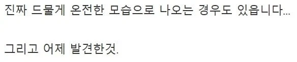 감자 캐듯 수류탄 찾는 디시인.jpg - 이미지 17