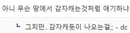 감자 캐듯 수류탄 찾는 디시인.jpg - 이미지 26